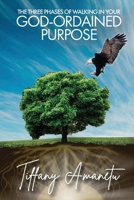 THE THREE PHASES OF WALKING IN YOUR GOD-ORDAINED PURPOSE 1737057409 Book Cover