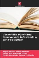 Cochonilha Pulvinaria tenuivalvata infestando a cana-de-açúcar (Portuguese Edition) 6208301769 Book Cover