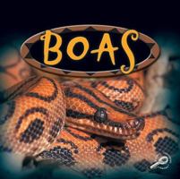 Boas (Amazing Snakes) 0824951476 Book Cover