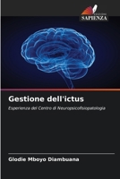 Gestione dell'ictus (Italian Edition) 6630411080 Book Cover