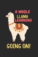 A Whole Llama Learning Going On: Blank Lined Notebook Journal, Cute llama Notebook Journal For Men Women And Kids, Gifts For Llama Lovers 167789119X Book Cover