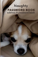 Naughty PASSWORD BOOK address & password book: Tracker To Protect Your Personal Internet Website Included Address Book. 1678428604 Book Cover