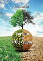 Carnoso ou l'effet cigogne (French Edition) 2414610697 Book Cover