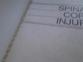 Spinal Cord Injury: A Guide to Functional Outcomes in Occupational Therapy (The Rehabilitation Institute of Chicago Publication Series) 0871896044 Book Cover