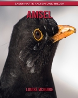 Amsel: Sagenhafte Fakten und Bilder B08B7KY1P2 Book Cover