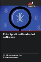 Principi di collaudo del software (Italian Edition) 6208071933 Book Cover