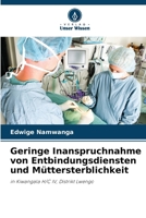 Geringe Inanspruchnahme von Entbindungsdiensten und Müttersterblichkeit (German Edition) 6208104629 Book Cover