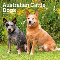 Australian Cattle Dogs 2027 12 X 24 Inch (Hanging) Monthly Square Wall Calendar Plastic-Free B0GH932XK1 Book Cover