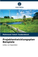 Projektentwicklungsplan Beispiele 6203330876 Book Cover