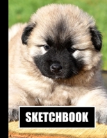 Sketchbook: Cute Puppy Dog Cover Design | White Paper | 120 Blank Unlined Pages | 8.5" X 11" | Matte Finished Soft Cover 1711705888 Book Cover