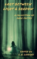 Lost Between Light & Shadow: A Collection of Dark Poetry 1952043174 Book Cover
