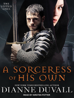 A Sorceress of His Own 0986417114 Book Cover