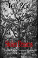 Stolen Dreams 1507536755 Book Cover