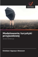 Modelowanie turystyki przyjazdowej (Polish Edition) 6209574718 Book Cover