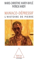Maniaco-dépressif : histoire de pierre 2738104274 Book Cover