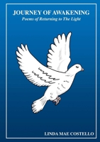 Journey of Awakening 1387429698 Book Cover