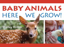 Animals!: Here We Grow 0823456838 Book Cover