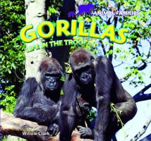 Gorillas: Life in the Troop 1448825148 Book Cover