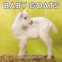 Baby Goats Calendar 2021: 16-Month Calendar, Cute Gift Idea For Goat Lovers Women & Men B093KJ67WN Book Cover
