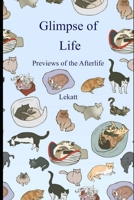 Glimpse of Life: Previews of the Afterlife B09FNW8Z35 Book Cover