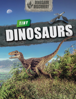 Tiny Dinosaurs 1725338513 Book Cover