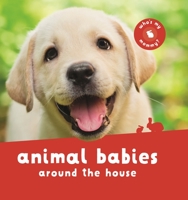 Animal Babies Around the House (Animal Babies) 0753476584 Book Cover