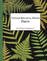 Vintage Botanical Prints: Ferns 154404044X Book Cover