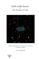God's Little Secret 0557324173 Book Cover