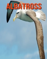 Albatross: Childrens Book Amazing Facts & Pictures about Albatross B08KH2KBKN Book Cover