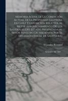 Memoria Acera De La Condici�n Actual De La Propiedad Salitrera En Chile Y Exposici�n Relativa Al Mejor Aprovechamiento De Los Salitrales Del Estado Presentada Al Se�or Ministro De Hacienda Por El Dele 1018754105 Book Cover