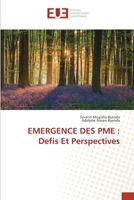 Emergence Des Pme: Defis Et Perspectives 613847581X Book Cover