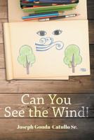 Can You See The Wind! 1644623382 Book Cover