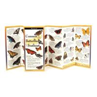 Common Butterflies of the Southeast 193538001X Book Cover