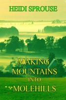 Making Mountains Into Molehills 1644370034 Book Cover
