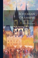 Bohemian Grammar 1022591932 Book Cover