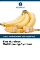 Einsatz eines Multihoming-Systems 6206218538 Book Cover