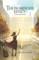 The Numinous Effect: A Spiritual Journey 173557130X Book Cover