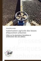 Valorisation Agricole Des Boues d'Épuration Urbaines 3838173627 Book Cover