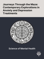 Journeys Through the Maze: Contemporary Explorations in Anxiety and Depression Treatments 1022900641 Book Cover