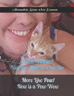 Wow! Power? No, No. That is a No-No: More like Pow! Now is a Pow-Wow B0BVNVM156 Book Cover