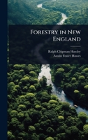 Forestry in New England 1023728591 Book Cover