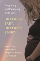 Pregnancy after Child Loss 1538125323 Book Cover