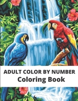 Adult color by number Coloring Book: Adult Color By Number Coloring Book: Large Print Birds, Flowers, Animals and Pretty Patterns B08JJCFK1V Book Cover
