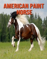 American Paint Horse: Fun Facts and Amazing Photos of Animals in Nature B08KJ5565J Book Cover