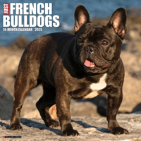 Just French Bulldogs 2025 12 X 12 Wall Calendar 1549242954 Book Cover