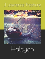 Halcyon B0GGLG7NT7 Book Cover