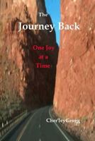 The Journey Back 1492169315 Book Cover
