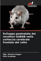 Sviluppo postnatale dei recettori GABAB nella corteccia cerebrale frontale del ratto (Italian Edition) 6630279190 Book Cover