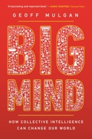 Big Mind: L'intelligenza collettiva che può cambiare il mondo 0691170797 Book Cover