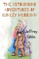 The Astounding Adventures Of Bumley McGrumm 1788307240 Book Cover